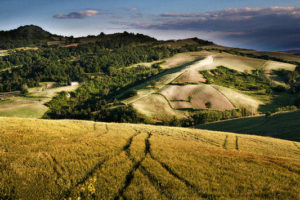 collinea-rimini_img533