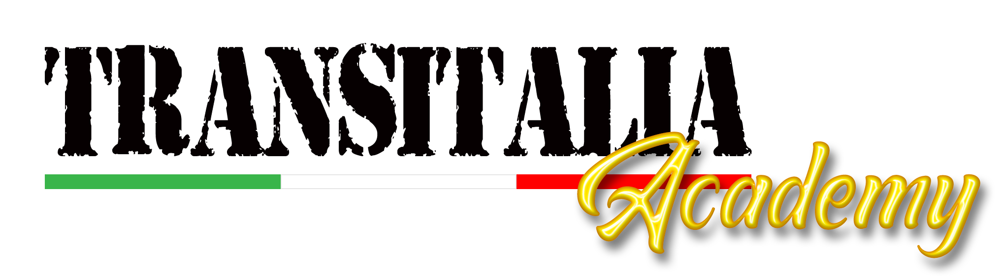 TRANSITALIA_Academy
